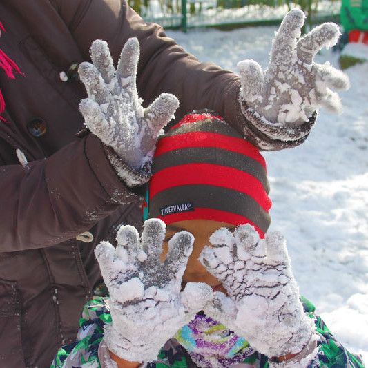 Huch, da steht ja ein Elch im Schnee!